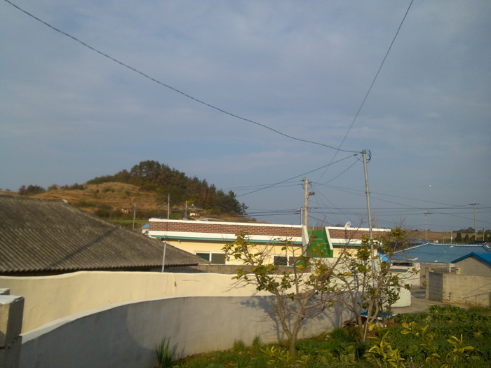 IMG_20121128_090213.jpg