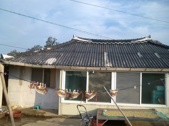IMG_20121128_090312.jpg