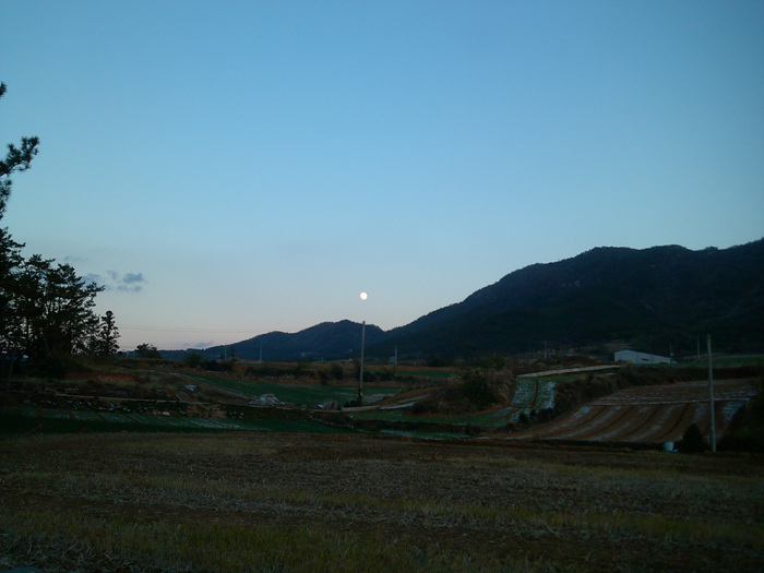 IMG_20121127_171634.jpg