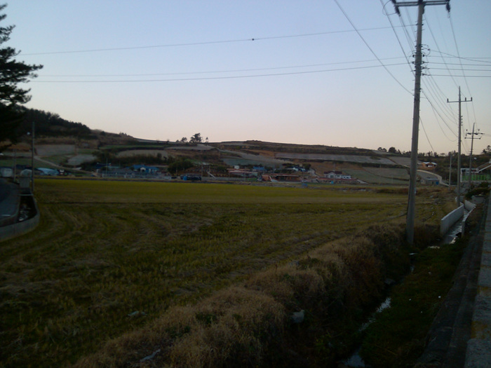 IMG_20121127_171510.jpg