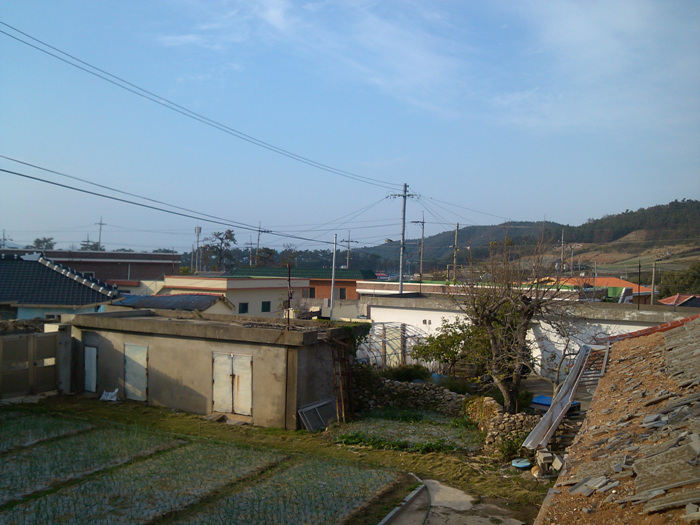 IMG_20121128_085733.jpg