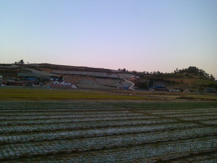 IMG_20121127_171810.jpg