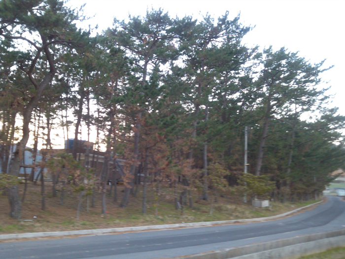 IMG_20121127_171515.jpg