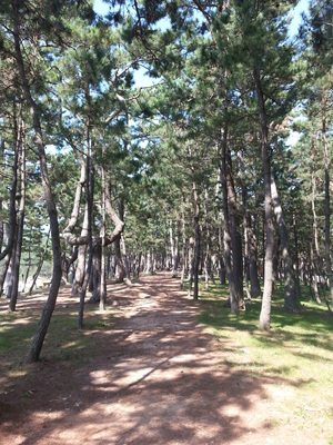 20130919_112050.jpg