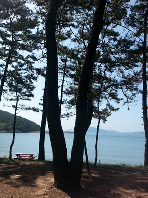 20130919_110856.jpg