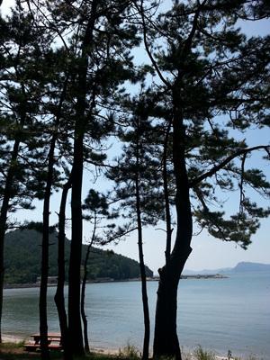 20130919_112321.jpg