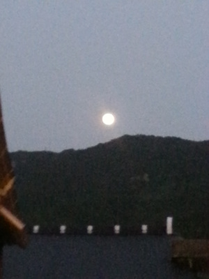 20130918_185308.jpg