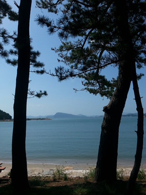 20130919_110839.jpg
