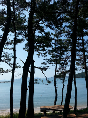 20130919_112354.jpg