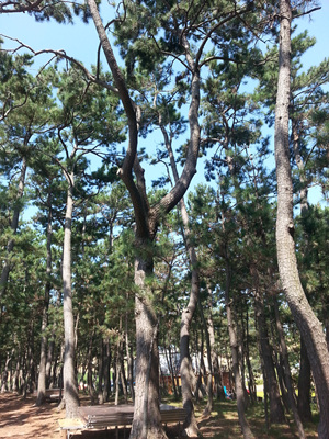20130919_112203.jpg