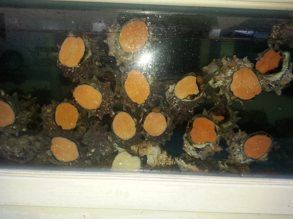 20130918_062241.jpg