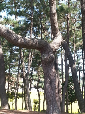 20130919_110632.jpg