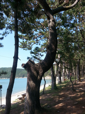 20130919_110723.jpg