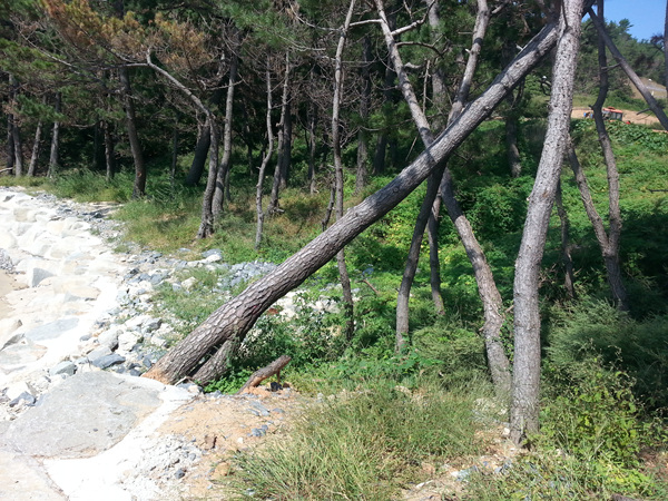 20130919_111356.jpg