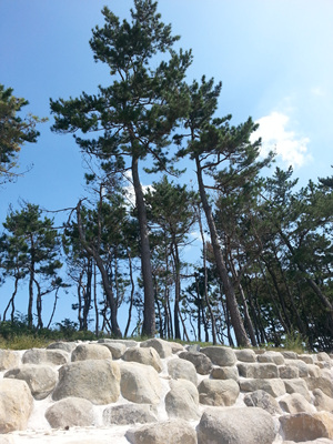 20130919_111522.jpg