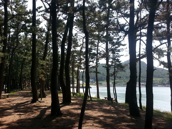 20130919_111000.jpg