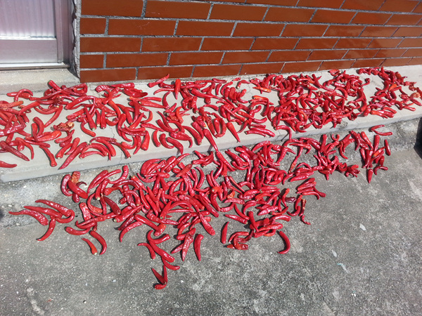 20130918_120148.jpg