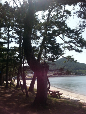 20130919_110746.jpg