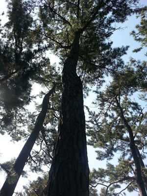 20130919_111046.jpg