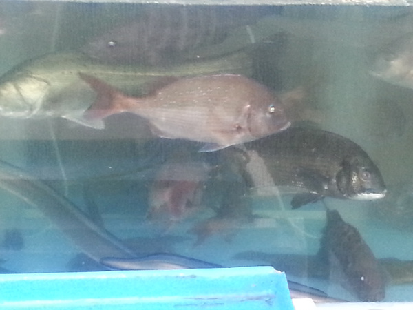 20130918_062420.jpg