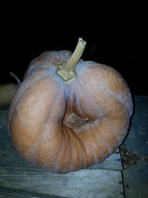 20130918_185933.jpg