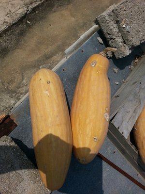 20130918_120357.jpg