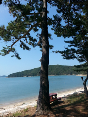 20130919_110713.jpg