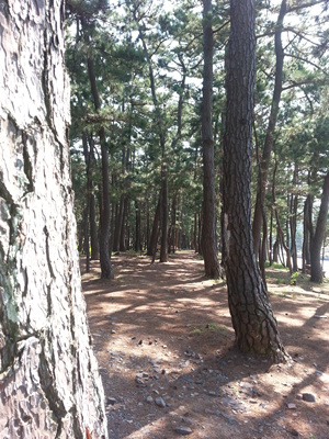 20130919_111133.jpg