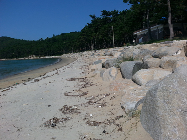 20130919_110456.jpg