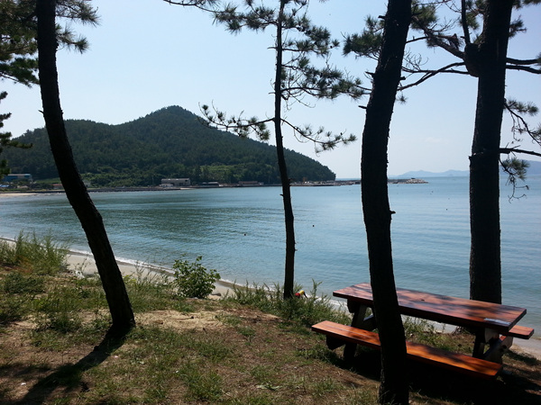 20130919_112601.jpg