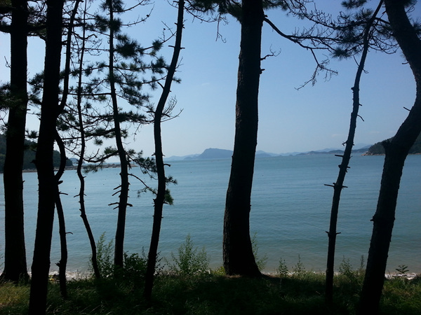 20130919_111328.jpg