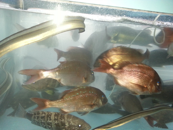 20130918_062150.jpg