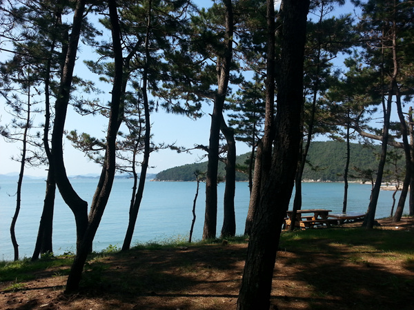 20130919_111013.jpg