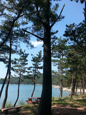 20130919_111056.jpg