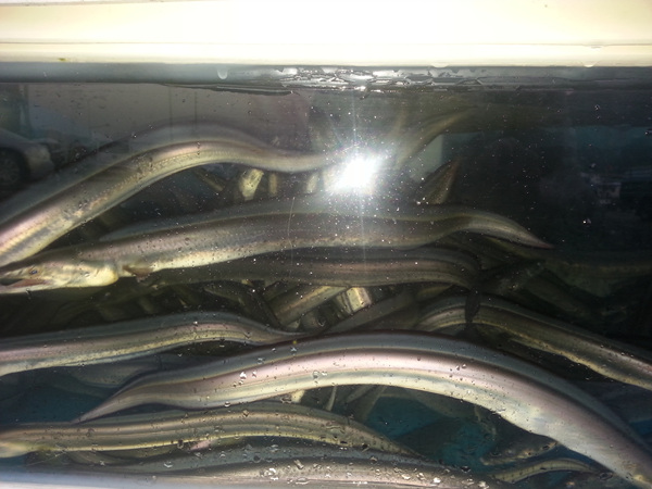 20130918_062232.jpg