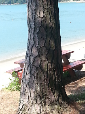 20130919_110704.jpg