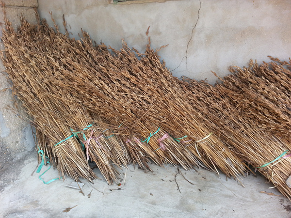 20130918_120210.jpg