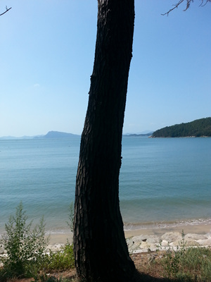 20130919_111311.jpg