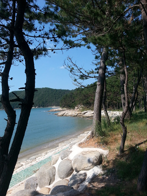20130919_111252.jpg