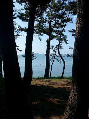 20130919_111036.jpg