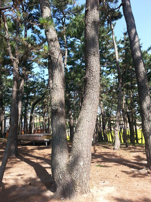 20130919_110831.jpg
