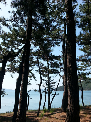 20130919_112433.jpg