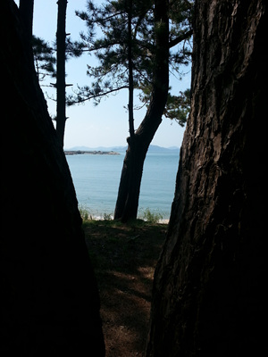 20130919_110907.jpg