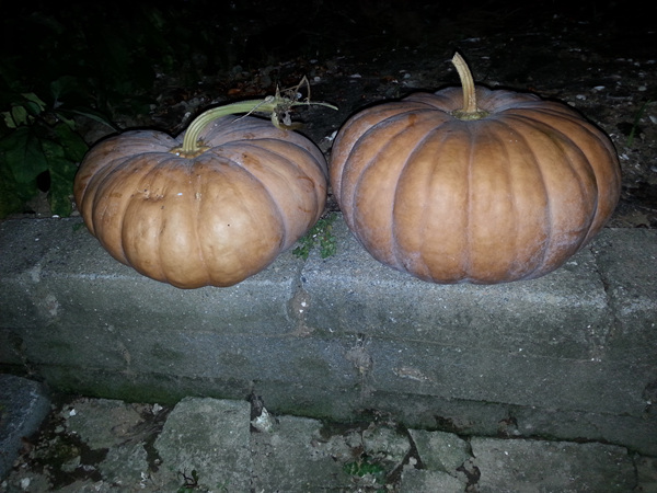 20130918_190004.jpg
