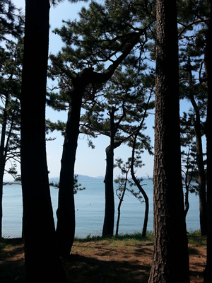 20130919_112415.jpg