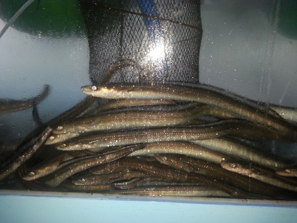 20130918_062216.jpg