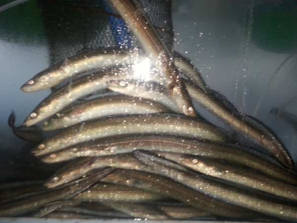 20130918_062208.jpg
