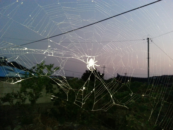 20130918_185611.jpg
