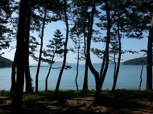 20130919_111010.jpg