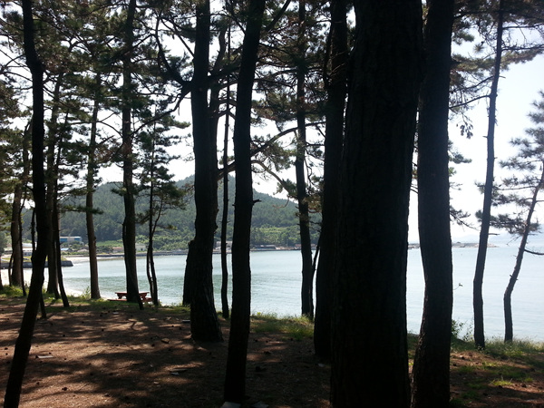 20130919_111003.jpg
